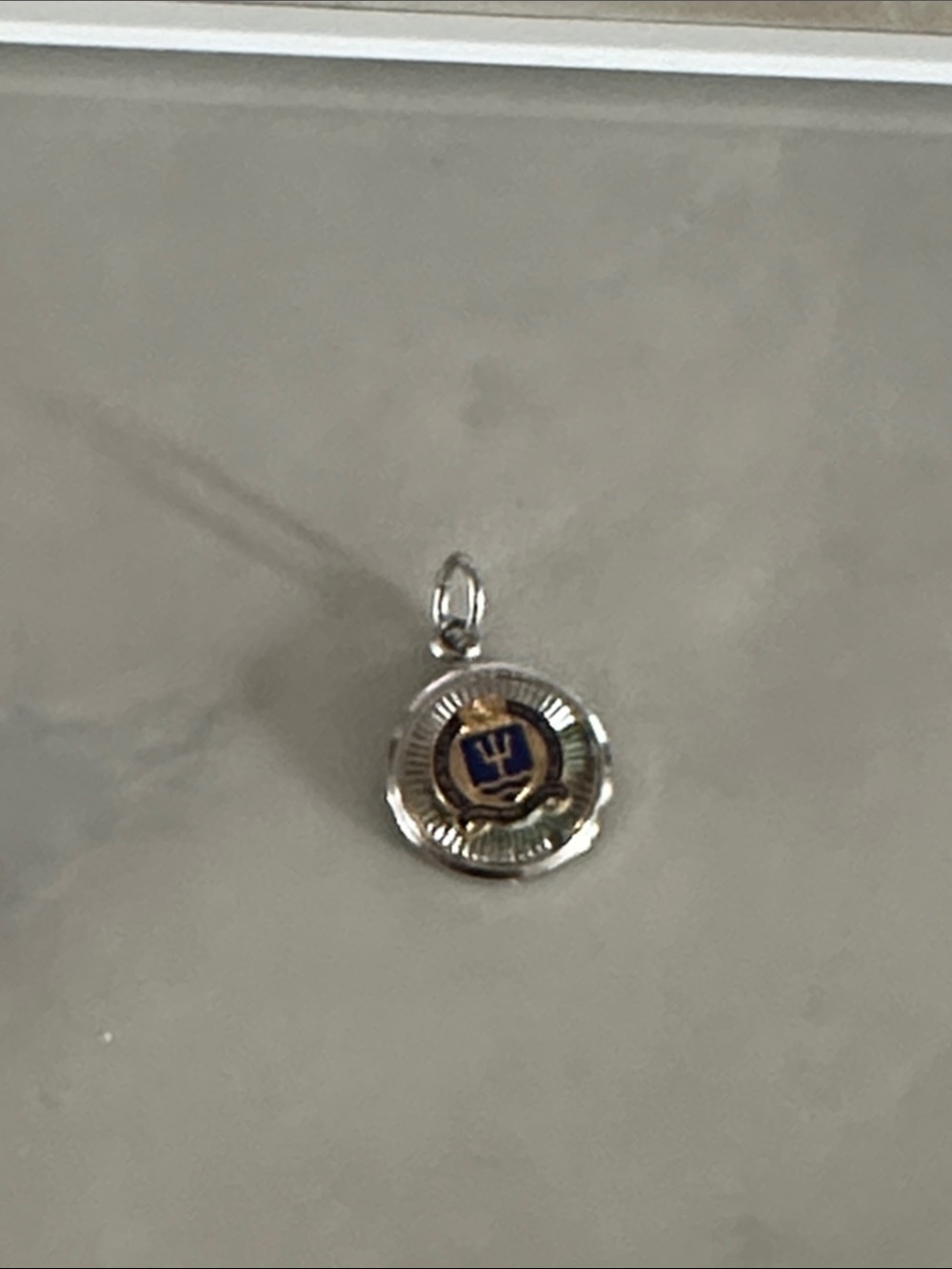 Silver Round Navy Blue and Gold Crest Charm
